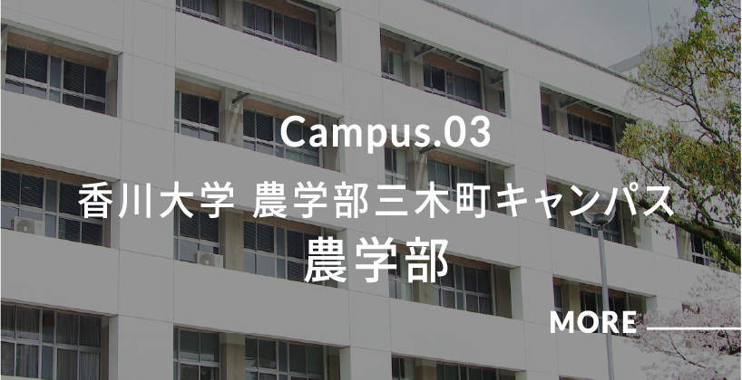 林町キャンパス